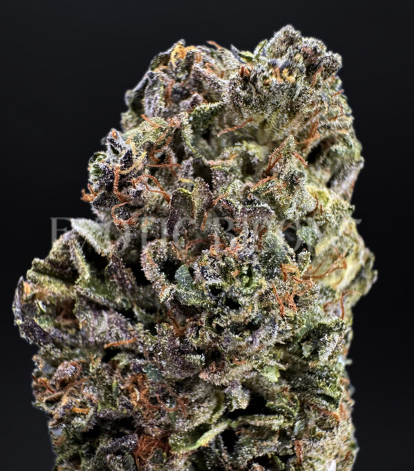 Super Silver Haze Washington DC Virginia