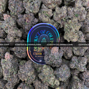 Midnight Runtz strain – blueberry candy flavored indica buds with purple and forest green hues, available for cannabis delivery in DC, Virginia, and Richmond via Exotic Blooms