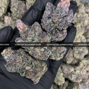 Midnight Runtz strain – blueberry candy flavored indica buds with purple and forest green hues, available for cannabis delivery in DC, Virginia, and Richmond via Exotic Blooms