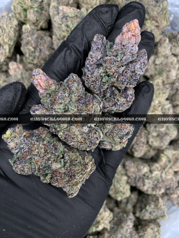 Midnight Runtz strain – blueberry candy flavored indica buds with purple and forest green hues, available for cannabis delivery in DC, Virginia, and Richmond via Exotic Blooms