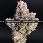 Midnight Runtz strain – blueberry candy flavored indica buds with purple and forest green hues, available for cannabis delivery in DC, Virginia, and Richmond via Exotic Blooms