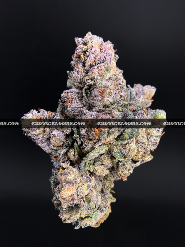 Midnight Runtz strain – blueberry candy flavored indica buds with purple and forest green hues, available for cannabis delivery in DC, Virginia, and Richmond via Exotic Blooms