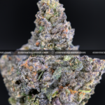 Midnight Runtz strain – blueberry candy flavored indica buds with purple and forest green hues, available for cannabis delivery in DC, Virginia, and Richmond via Exotic Blooms