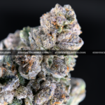 Midnight Runtz strain – blueberry candy flavored indica buds with purple and forest green hues, available for cannabis delivery in DC, Virginia, and Richmond via Exotic Blooms