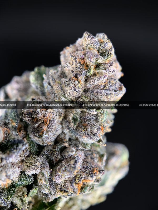 Midnight Runtz strain – blueberry candy flavored indica buds with purple and forest green hues, available for cannabis delivery in DC, Virginia, and Richmond via Exotic Blooms