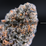 Peanut Butter Trix cannabis strain – peanut butter and diesel hybrid available for delivery in Virginia and DC.