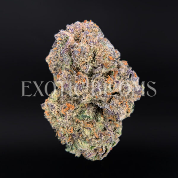 Purple Ice strain – sativa buds with orange hairs and frosty trichomes for DC and Virginia cannabis delivery