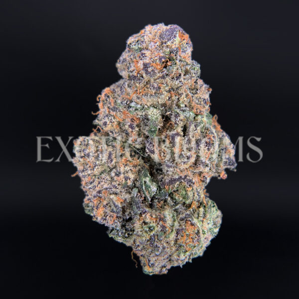 Purple Ice strain – sativa buds with orange hairs and frosty trichomes for DC and Virginia cannabis delivery