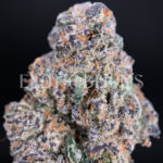 Purple Ice strain – sativa buds with orange hairs and frosty trichomes for DC and Virginia cannabis delivery