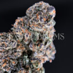 Purple Ice strain – sativa buds with orange hairs and frosty trichomes for DC and Virginia cannabis delivery