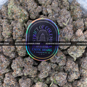 Purple Push Pop hybrid cannabis strain with frosty purple buds – available for weed delivery in DC, Virginia, and Richmond via Exotic Blooms