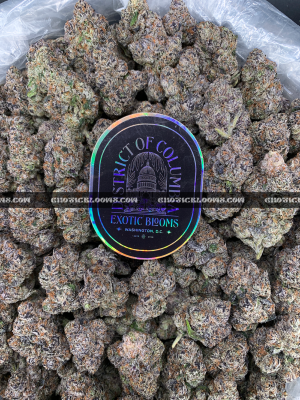 Purple Push Pop hybrid cannabis strain with frosty purple buds – available for weed delivery in DC, Virginia, and Richmond via Exotic Blooms