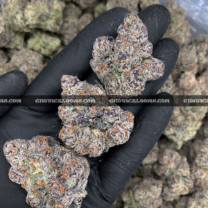 Purple Push Pop hybrid cannabis strain with frosty purple buds – available for weed delivery in DC, Virginia, and Richmond via Exotic Blooms