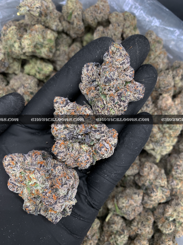 Purple Push Pop hybrid cannabis strain with frosty purple buds – available for weed delivery in DC, Virginia, and Richmond via Exotic Blooms