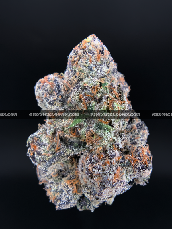 Purple Push Pop hybrid cannabis strain with frosty purple buds – available for weed delivery in DC, Virginia, and Richmond via Exotic Blooms