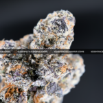 Purple Push Pop hybrid cannabis strain with frosty purple buds – available for weed delivery in DC, Virginia, and Richmond via Exotic Blooms