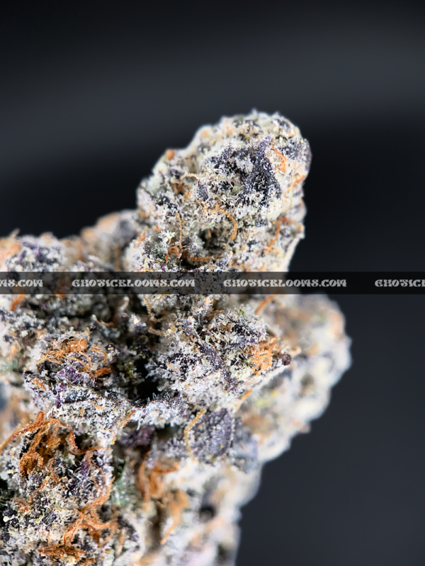 Purple Push Pop hybrid cannabis strain with frosty purple buds – available for weed delivery in DC, Virginia, and Richmond via Exotic Blooms