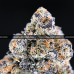 Purple Push Pop hybrid cannabis strain with frosty purple buds – available for weed delivery in DC, Virginia, and Richmond via Exotic Blooms