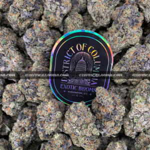 Royal Jelly strain – dense purple-tinged buds with fruity sweet aroma for weed delivery in Washington DC and Virginia