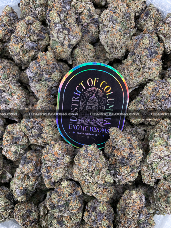 Royal Jelly strain – dense purple-tinged buds with fruity sweet aroma for weed delivery in Washington DC and Virginia