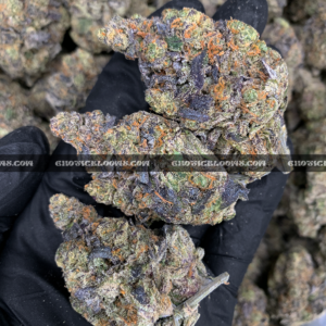 Royal Jelly strain – dense purple-tinged buds with fruity sweet aroma for weed delivery in Washington DC and Virginia