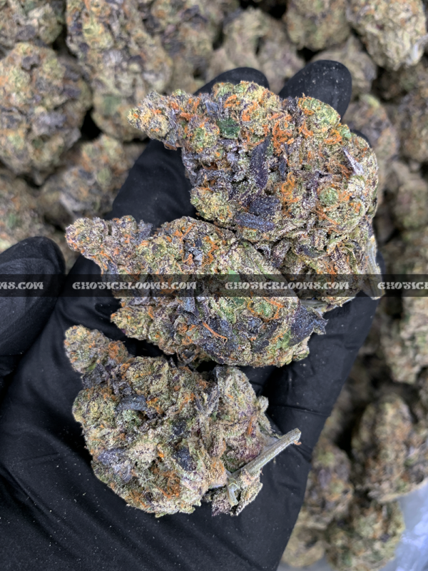 Royal Jelly strain – dense purple-tinged buds with fruity sweet aroma for weed delivery in Washington DC and Virginia