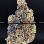 Royal Jelly strain – dense purple-tinged buds with fruity sweet aroma for weed delivery in Washington DC and Virginia