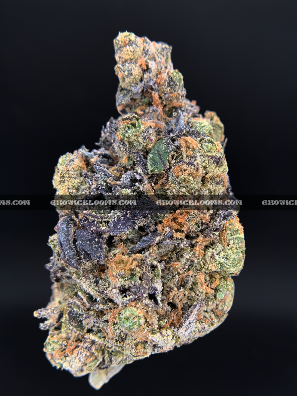 Royal Jelly strain – dense purple-tinged buds with fruity sweet aroma for weed delivery in Washington DC and Virginia