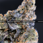 Royal Jelly strain – dense purple-tinged buds with fruity sweet aroma for weed delivery in Washington DC and Virginia