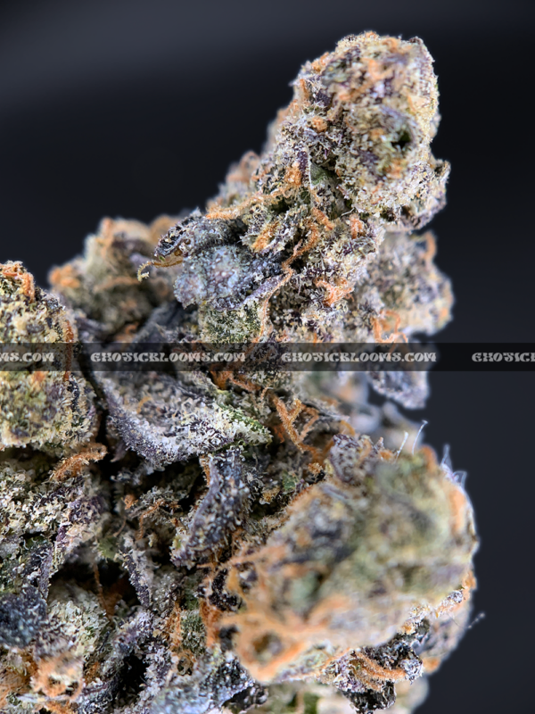 Royal Jelly strain – dense purple-tinged buds with fruity sweet aroma for weed delivery in Washington DC and Virginia