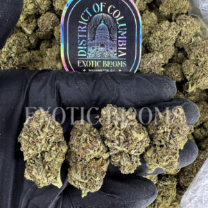 Russian Cream indica cannabis strain – available for weed delivery in DC, Virginia, and Richmond via Exotic Blooms