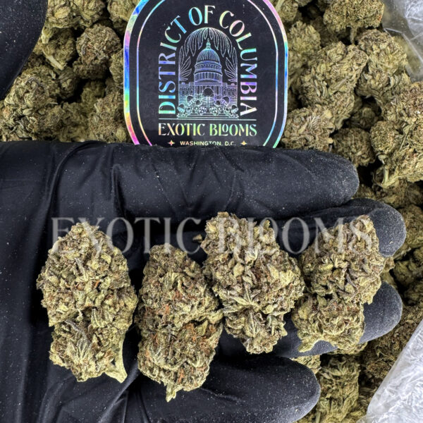 Russian Cream indica cannabis strain – available for weed delivery in DC, Virginia, and Richmond via Exotic Blooms