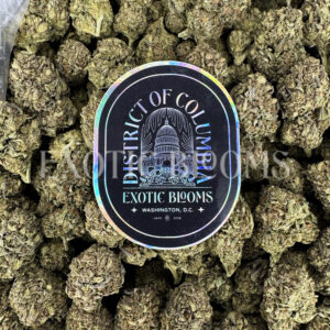 Russian Cream indica cannabis strain – available for weed delivery in DC, Virginia, and Richmond via Exotic Blooms