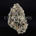 Russian Cream indica cannabis strain – available for weed delivery in DC, Virginia, and Richmond via Exotic Blooms