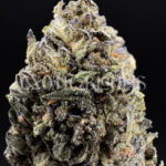 Russian Cream indica cannabis strain – available for weed delivery in DC, Virginia, and Richmond via Exotic Blooms