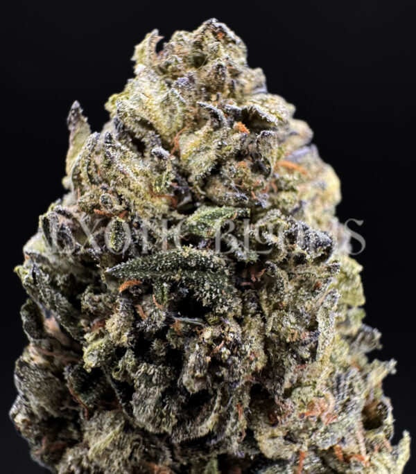 Russian Cream indica cannabis strain – available for weed delivery in DC, Virginia, and Richmond via Exotic Blooms