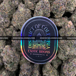 Sandstorm strain buds covered in frosty white trichomes, perfect for Washington DC and Virginia cannabis delivery customers seeking top-shelf indica flower.