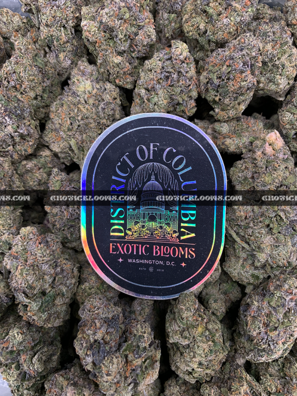 Sandstorm strain buds covered in frosty white trichomes, perfect for Washington DC and Virginia cannabis delivery customers seeking top-shelf indica flower.