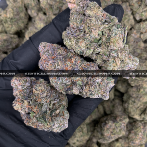 Sandstorm strain buds covered in frosty white trichomes, perfect for Washington DC and Virginia cannabis delivery customers seeking top-shelf indica flower.
