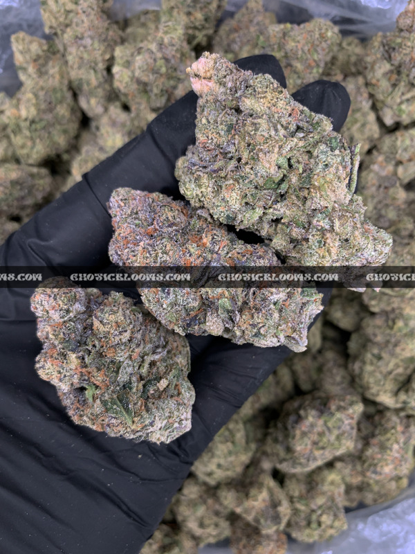 Sandstorm strain buds covered in frosty white trichomes, perfect for Washington DC and Virginia cannabis delivery customers seeking top-shelf indica flower.