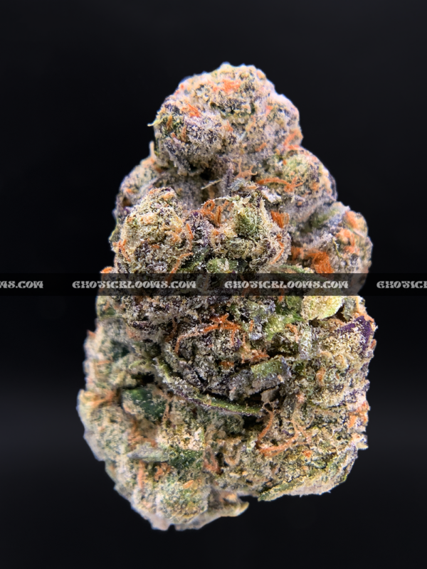 Sandstorm strain buds covered in frosty white trichomes, perfect for Washington DC and Virginia cannabis delivery customers seeking top-shelf indica flower.