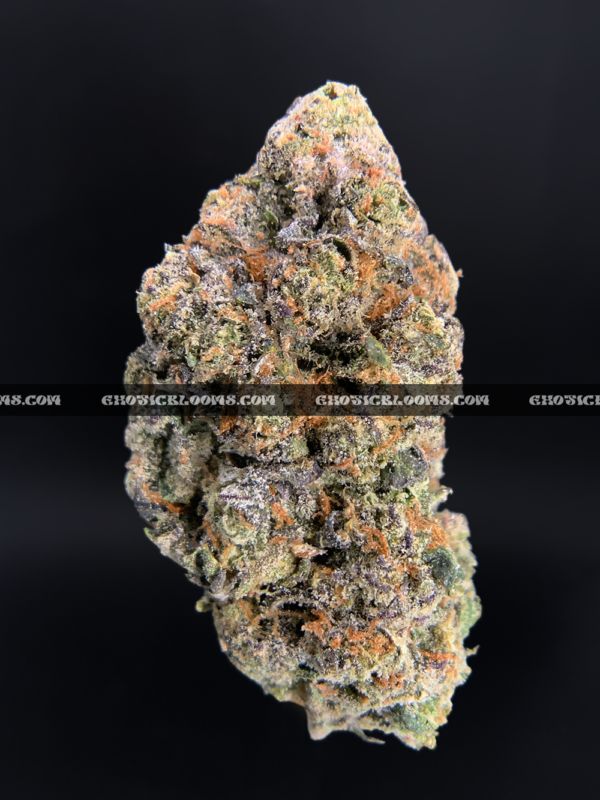 Sandstorm strain buds covered in frosty white trichomes, perfect for Washington DC and Virginia cannabis delivery customers seeking top-shelf indica flower.