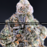 Sandstorm strain buds covered in frosty white trichomes, perfect for Washington DC and Virginia cannabis delivery customers seeking top-shelf indica flower.