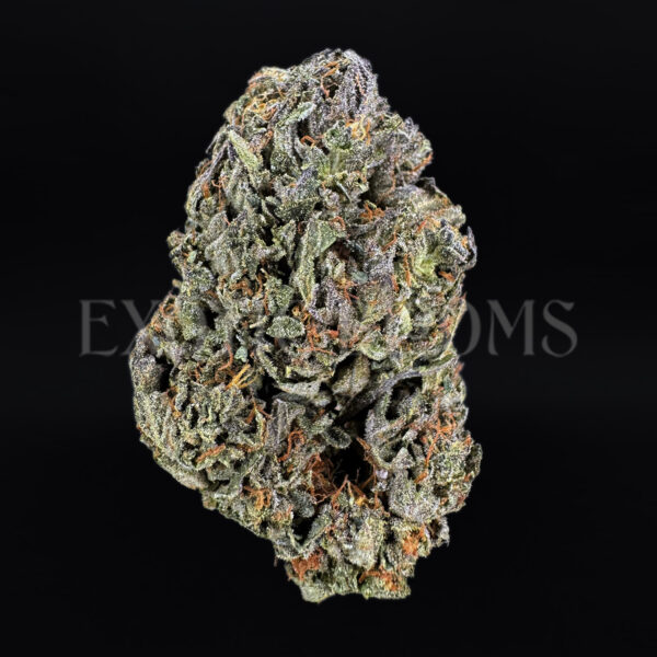 Super Silver Haze Washington DC Virginia