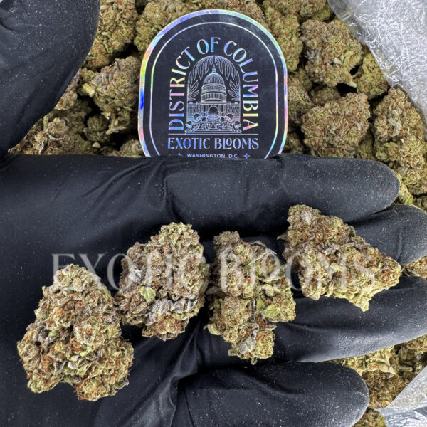 Sour Diesel sativa cannabis strain – available for weed delivery in DC, Virginia, and Richmond via Exotic Blooms