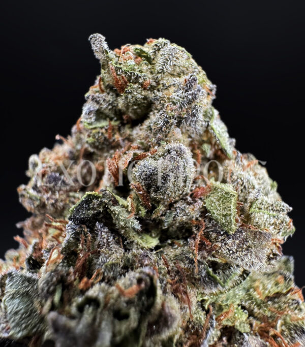 Sour Diesel sativa cannabis strain – available for weed delivery in DC, Virginia, and Richmond via Exotic Blooms