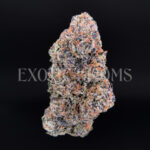 Sour Zkittlez strain – tropical citrus sativa buds with orange hairs and frosty trichomes for DC and Virginia cannabis delivery