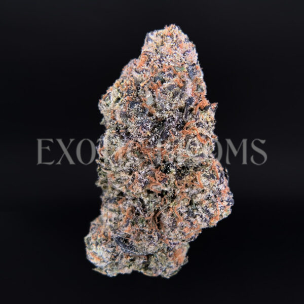 Sour Zkittlez strain – tropical citrus sativa buds with orange hairs and frosty trichomes for DC and Virginia cannabis delivery