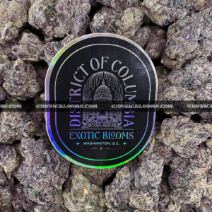 Close-up of Unicorn Tears strain flower with dark olive green buds, purple accents, and sticky trichomes – available for delivery in Washington DC and Virginia.