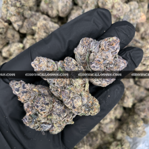 Close-up of Unicorn Tears strain flower with dark olive green buds, purple accents, and sticky trichomes – available for delivery in Washington DC and Virginia.